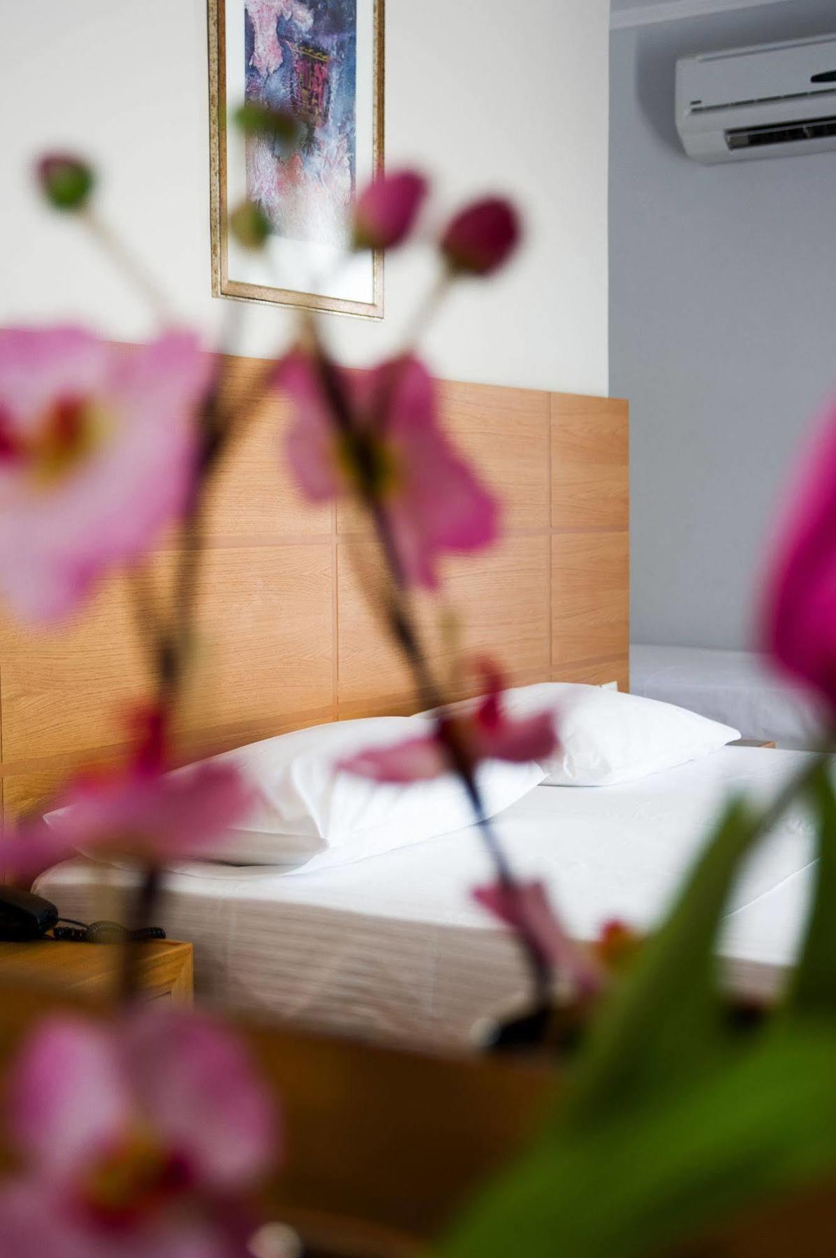 Olympion Hotell Athen Eksteriør bilde